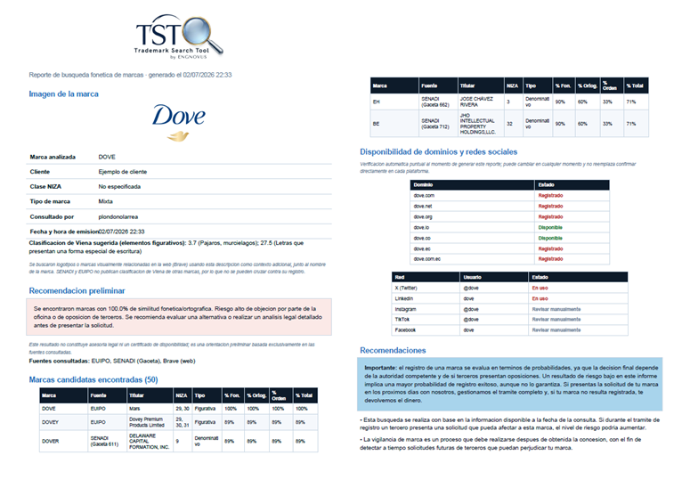 Informe de resultados de TST con una marca de ejemplo